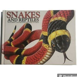 Snakes and Reptiles - Large Hardback Informational Book